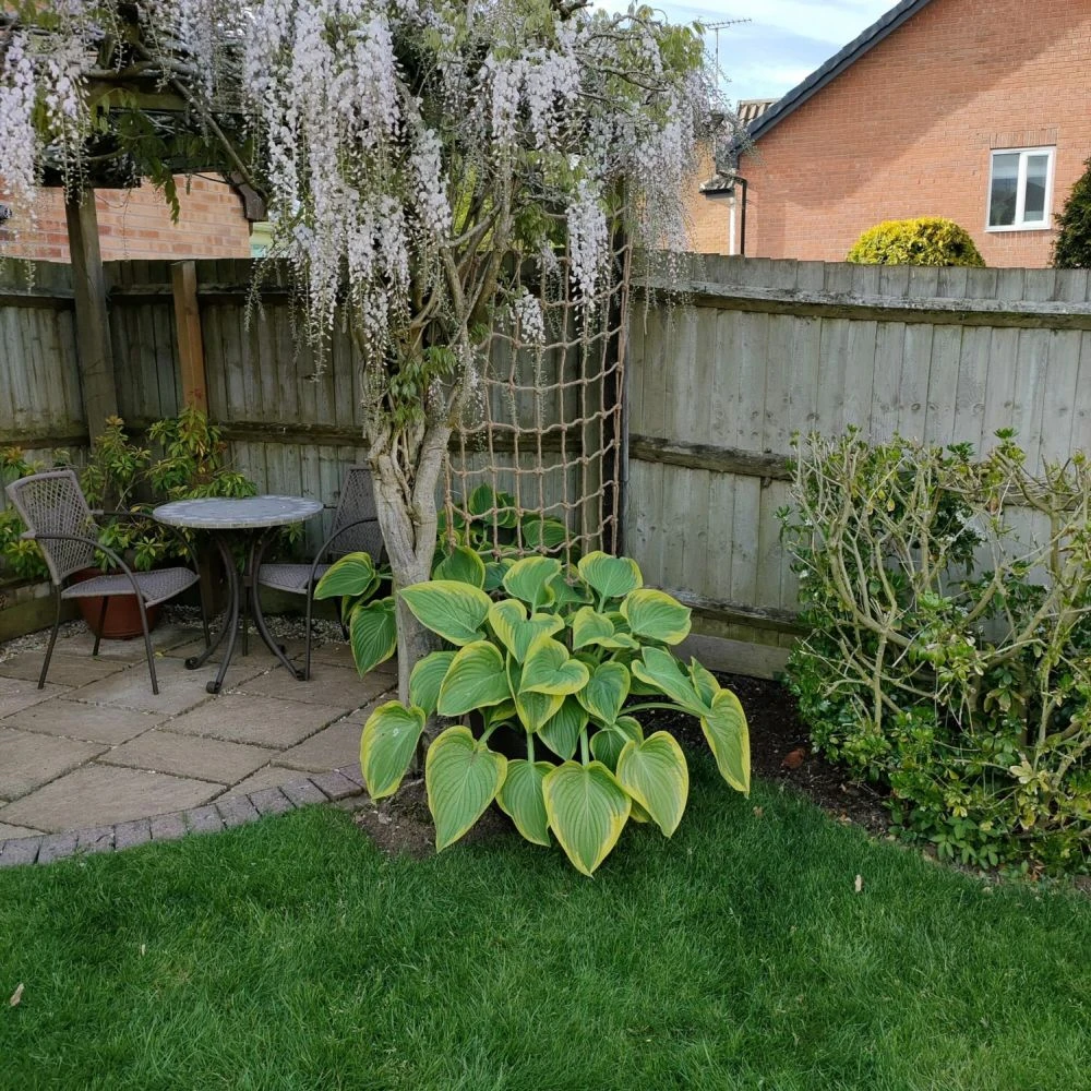 The Good Life 1.2 X 1.8m Natural Jute Rope Trellis 2 The Good Life 1.2 X 1.8m Natural Jute Rope Trellis - Image 2