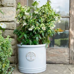 Woodlodge 38cm White / Cream Glazed Heritage Cylinder Pot 6 Woodlodge 38cm White / Cream Glazed Heritage Cylinder Pot -Hush Arbor Sales 5021346424430