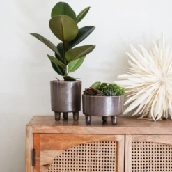 Ivyline 19cm Mocha Pisa Bowl Indoor Houseplant Pot -Hush Arbor Sales 5055352850235 3