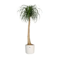 Elho 25cm White B.For Soft Round Pot -Hush Arbor Sales 8711904229610 4