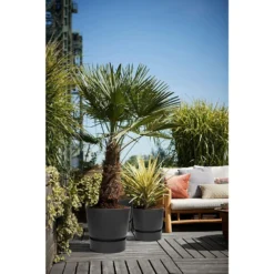 Elho 25cm Living Black Greenville Round Planter -Hush Arbor Sales 8711904332334 5