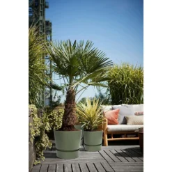 Elho 25cm Leaf Green Greenville Round Planter -Hush Arbor Sales 8711904332433 4