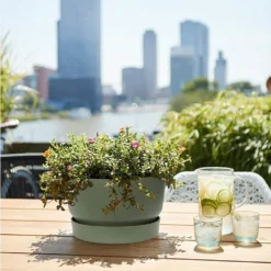 Elho 33cm Leaf Green Greenville Bowl Planter -Hush Arbor Sales 8711904332464 4