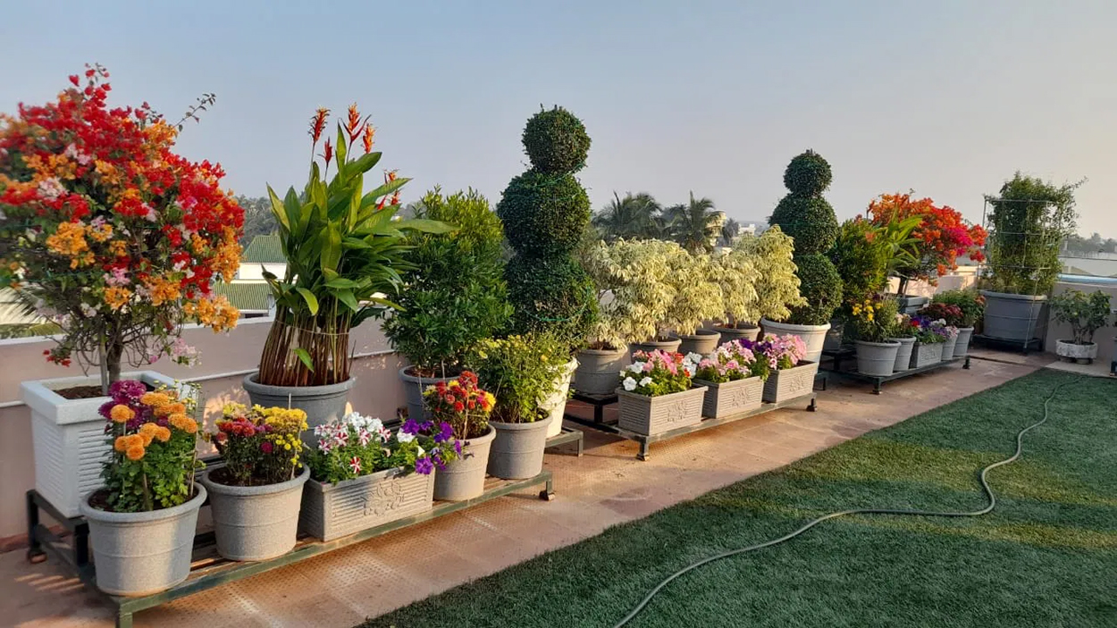 Hush Arbor Sales -Hush Arbor Sales outdoor planters